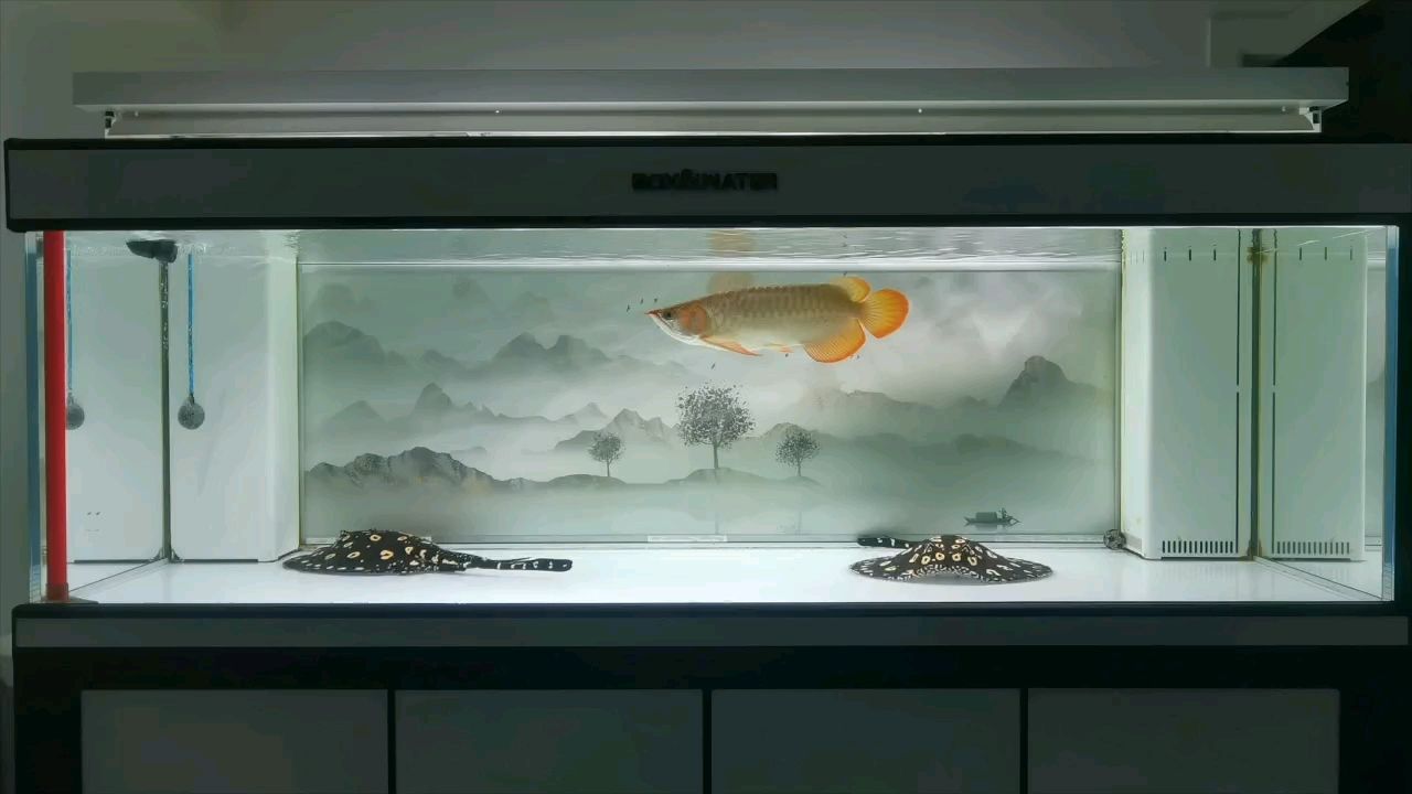 歲月款款而來！