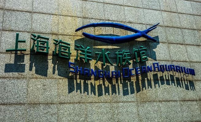 如何預(yù)訂水族館夜間門(mén)票（上海海洋水族館如何預(yù)訂水族館夜間門(mén)票預(yù)訂截止時(shí)間）