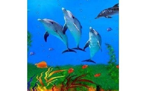 水族館 屏保(夢幻水族館屏保的使用) 水族館百科(水族館加盟) 第3張 水族館 屏保(夢幻水族館屏保的使用) 水族館 屏保(夢幻水族館屏保的使用) 水族館百科(水族館加盟) 第3張