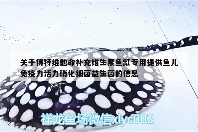 關于博特維他命補充維生素魚缸專用提供魚兒免疫力活力硝化細菌益生菌的信息 關于博特維他命補充維生素魚缸專用提供魚兒免疫力活力硝化細菌益生菌的信息 博特水族