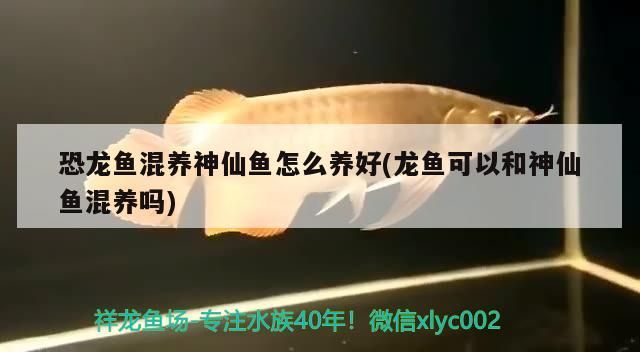 兩米長魚缸寬度是多少厘米（兩米長的魚缸有多重）