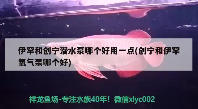 伊罕和創寧潛水泵哪個好用一點(創寧和伊罕氧氣泵哪個好)