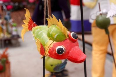 成年紅龍魚價格多少錢一條啊：成年紅龍魚價格受多種因素影響成年紅龍魚價格趨勢分析