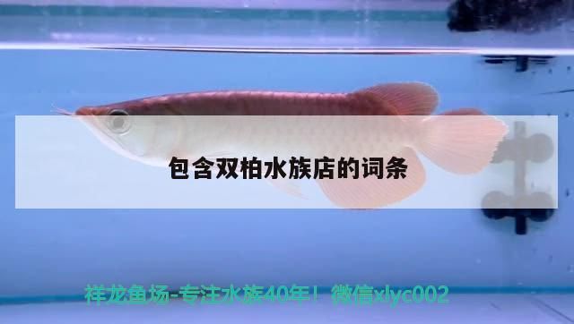 包含雙柏水族店的詞條
