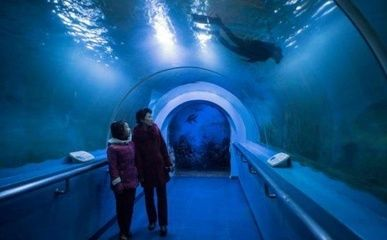水族館發(fā)展現(xiàn)狀分析：水族館發(fā)展現(xiàn)狀分析與趨勢(shì)預(yù)測(cè) 水族館發(fā)展現(xiàn)狀分析：水族館發(fā)展現(xiàn)狀分析與趨勢(shì)預(yù)測(cè) 水族館百科（水族館加盟） 第4張