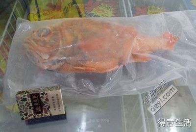蝴蝶鯉的壽命最長能活多少年（蝴蝶鯉的壽命受飼養環境和品種影響結果信息可知）