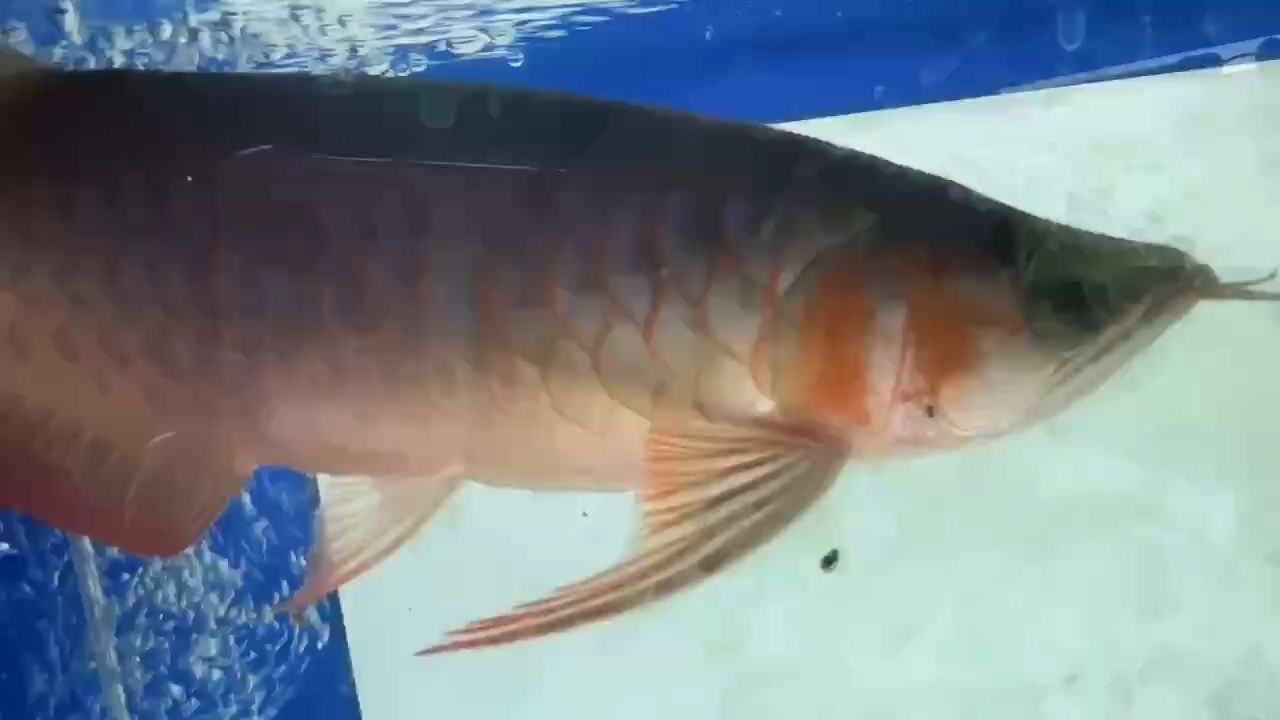 午后陽光