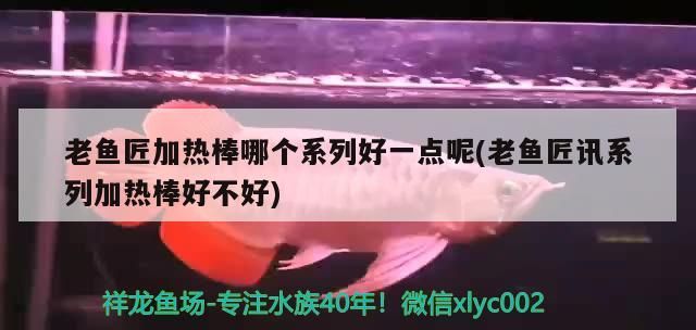 老魚匠加熱棒哪個系列好一點呢(老魚匠訊系列加熱棒好不好) 老魚匠加熱棒哪個系列好一點呢(老魚匠訊系列加熱棒好不好) 老魚匠 第1張