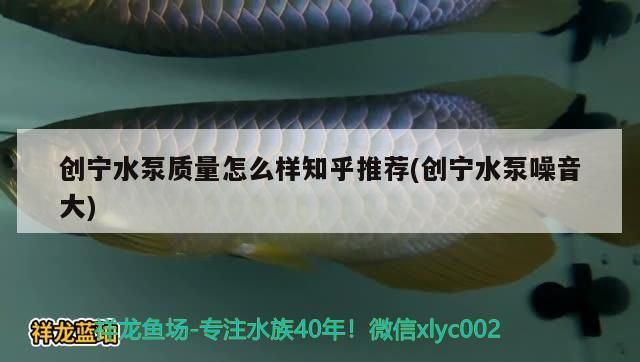 創寧水泵質量怎么樣知乎推薦(創寧水泵噪音大)