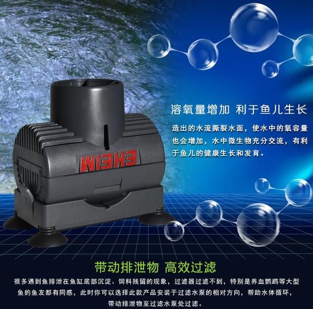 紅龍魚混養(yǎng)的最佳搭配比例是多少:紅龍魚混養(yǎng)的最佳搭配比例