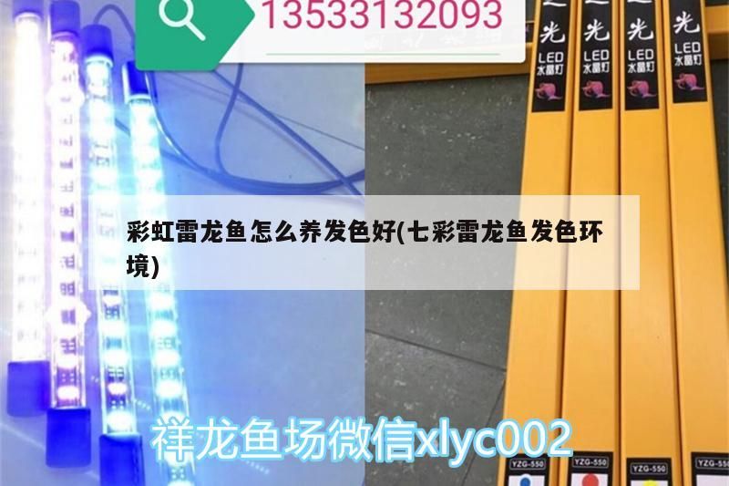 長沙魚缸定制廠家有哪些地址 長沙魚缸定制廠家有哪些地址呢 長沙魚缸定制廠家有哪些地址 長沙魚缸定制廠家有哪些地址呢 仟湖 第2張