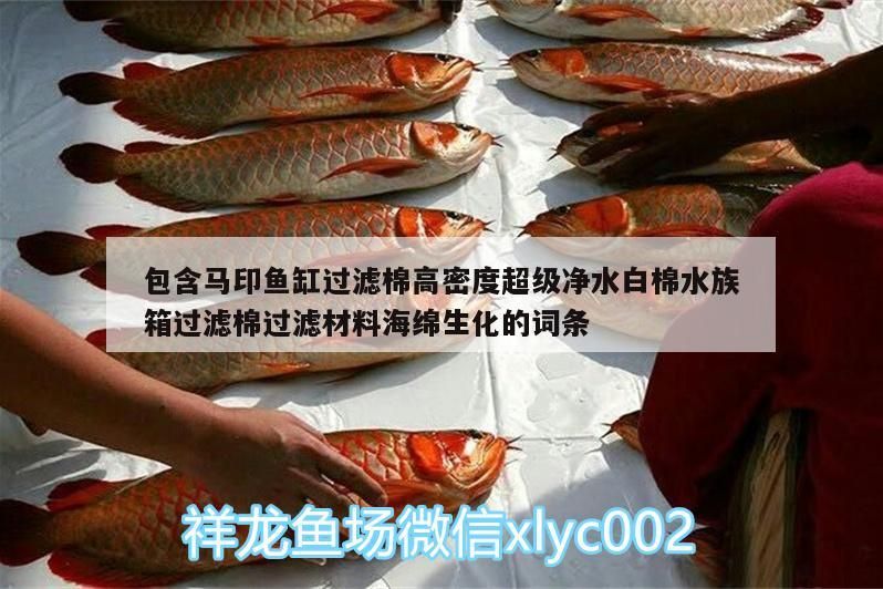 包含馬印魚缸過濾棉高密度超級凈水白棉水族箱過濾棉過濾材料海綿生化的詞條 包含馬印魚缸過濾棉高密度超級凈水白棉水族箱過濾棉過濾材料海綿生化的詞條 馬印水族