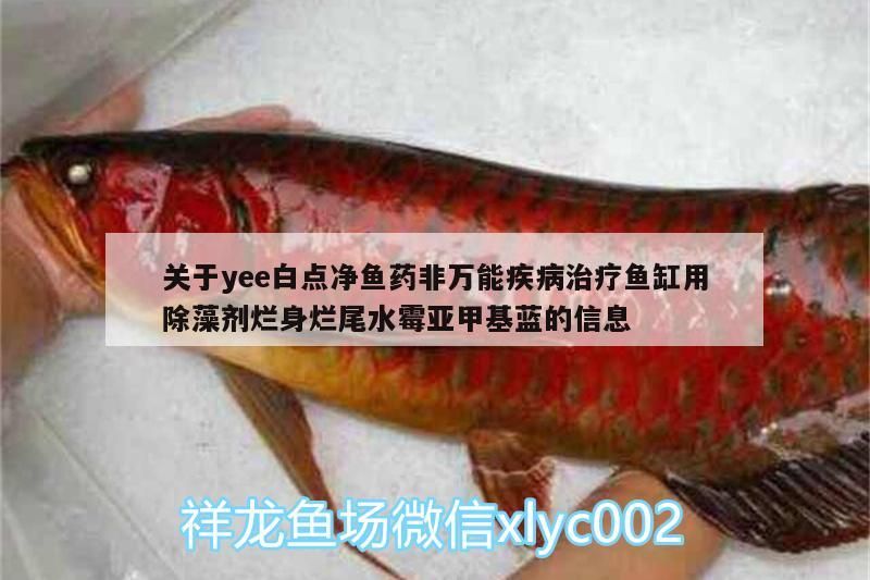 關于yee白點凈魚藥非萬能疾病治療魚缸用除藻劑爛身爛尾水霉亞甲基藍的信息