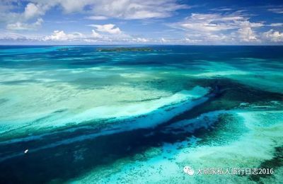 魟魚老在水面上游：魟魚老在水面上游可能有以下幾種情況 魟魚老在水面上游：魟魚老在水面上游可能有以下幾種情況 魟魚百科 第3張
