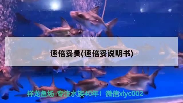 龍魚干蝦有營養(yǎng)嗎 速倍妥貴(速倍妥說明書) 速倍妥 速倍妥貴(速倍妥說明書) 速倍妥貴(速倍妥說明書) 速倍妥