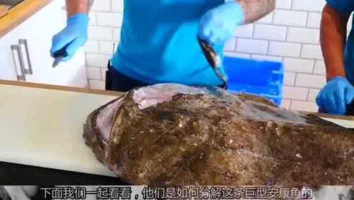 魟魚食量大嗎能吃嗎有毒嗎視頻：魟魚的食量相對較大，關于魟魚是否有毒，答案是部分有毒 魟魚食量大嗎能吃嗎有毒嗎視頻：魟魚的食量相對較大，關于魟魚是否有毒，答案是部分有毒 魟魚百科 第2張