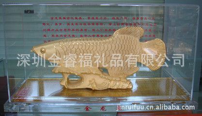經濟發達地區金龍魚價格對比：經濟發達地區金龍魚價格對比呈現出明顯差異 經濟發達地區金龍魚價格對比：經濟發達地區金龍魚價格對比呈現出明顯差異 金龍魚百科 第4張