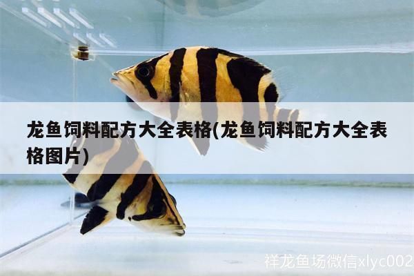 龍魚飼料配方大全，常見的龍魚飼料配方