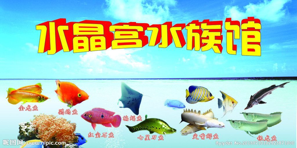 水族館魚類介紹大全圖片高清：水族館魚類介紹大全 水族館魚類介紹大全圖片高清：水族館魚類介紹大全 水族館百科（水族館加盟） 第4張