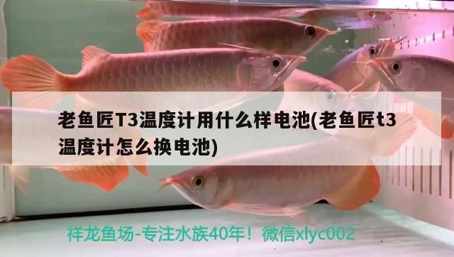 魚缸用增氧泵價格是多少:魚缸增氧機-xtrac增氧機-xtrac增氧機 老魚匠T3溫度計用什么樣電池(老魚匠t3溫度計怎么換電池) 老魚匠 老魚匠T3溫度計用什么樣電池(老魚匠t3溫度計怎么換電池) 老魚匠T3溫度計用什么樣電池(老魚匠t3溫度計怎么換電池) 老魚匠