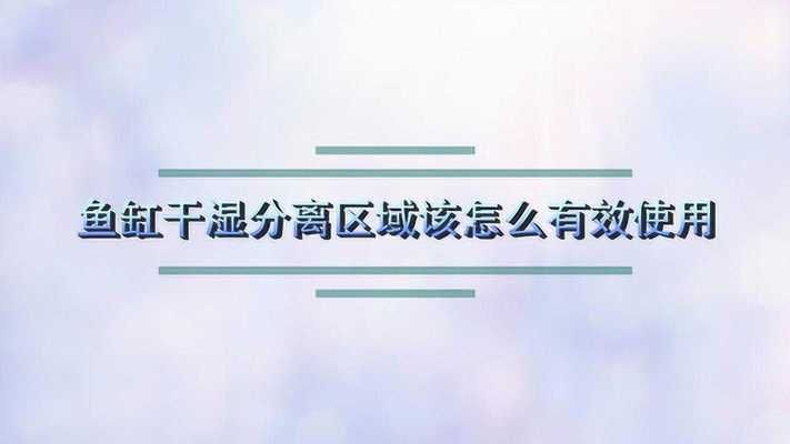 元寶鳳凰都有哪幾個品種圖片及價格：元寶鳳凰圖片及價格