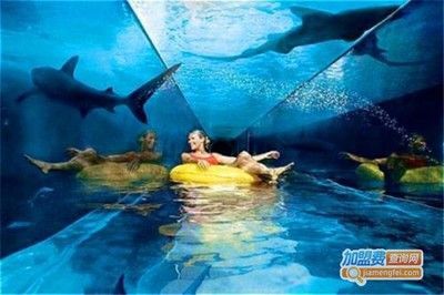 水族館加盟代理多少錢(qián)一個(gè)月啊（水族館加盟代理費(fèi)用概覽）