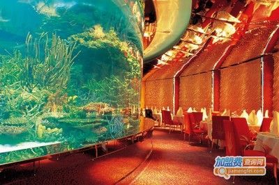 水族館加盟代理多少錢(qián)一個(gè)月啊（水族館加盟代理費(fèi)用概覽）