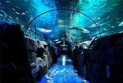 水族館加盟代理多少錢(qián)一個(gè)月啊（水族館加盟代理費(fèi)用概覽）