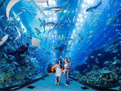 水族館行業會有發展潛力嗎（水族館行業發展潛力）
