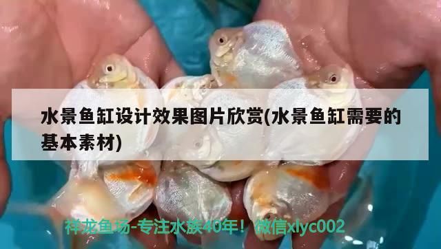 水景魚缸設計效果圖片欣賞(水景魚缸需要的基本素材)