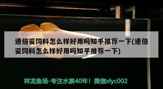 詳細(xì)閱讀:速倍妥飼料怎么樣好用嗎知乎推薦一下(速倍妥飼料怎么樣好用嗎知乎推薦一下) 速倍妥飼料怎么樣好用嗎知乎推薦一下(速倍妥飼料怎么樣好用嗎知乎推薦一下)