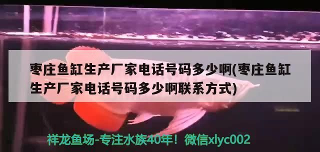 棗莊魚缸生產廠家電話號碼多少啊(棗莊魚缸生產廠家電話號碼多少啊聯系方式)
