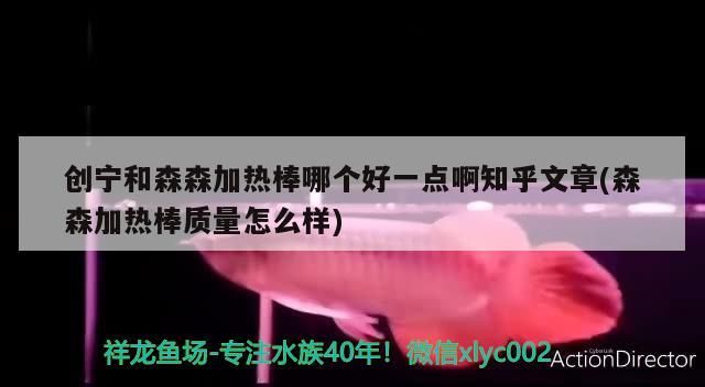 創寧和森森加熱棒哪個好一點啊知乎文章(森森加熱棒質量怎么樣)
