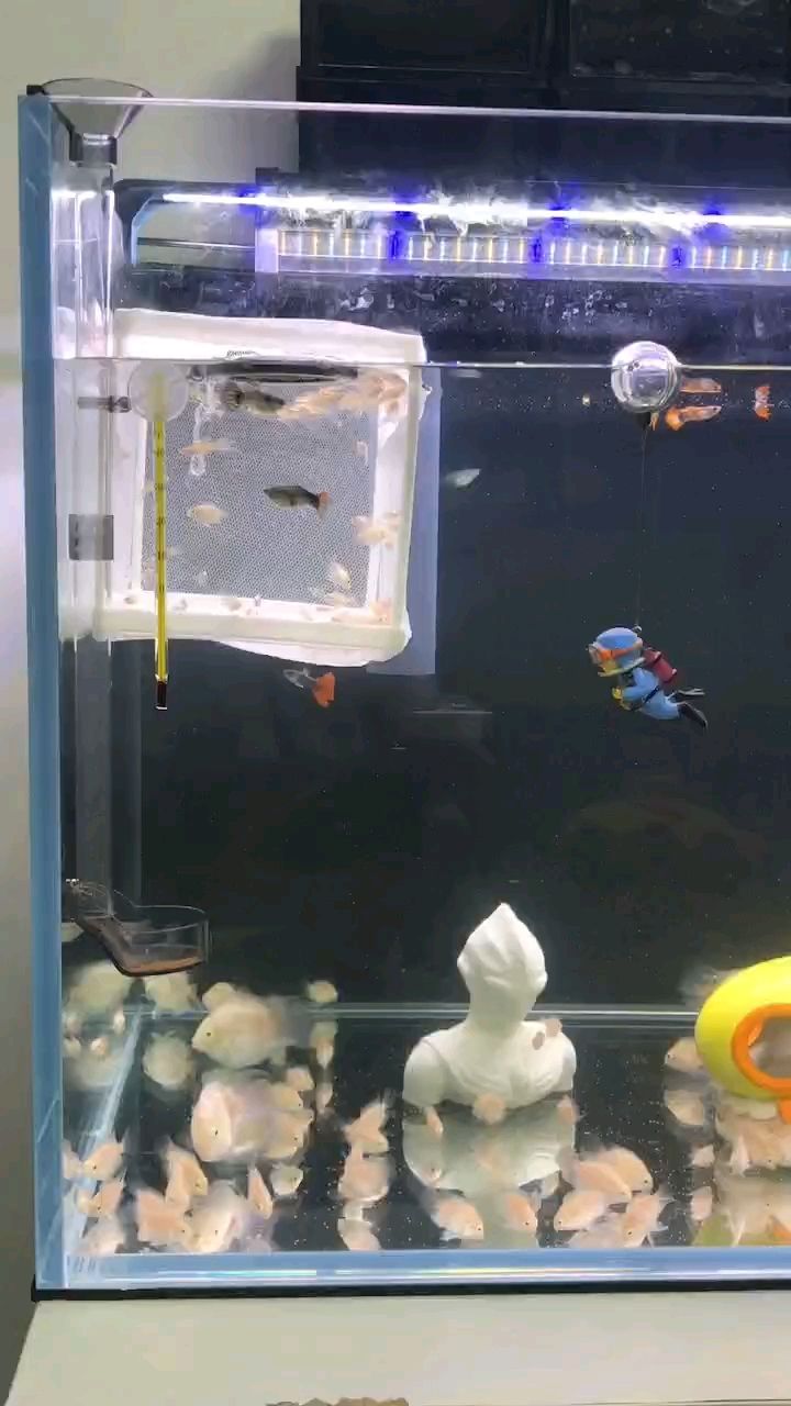 清澈