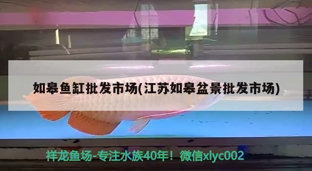 如皋魚缸批發市場(江蘇如皋盆景批發市場)