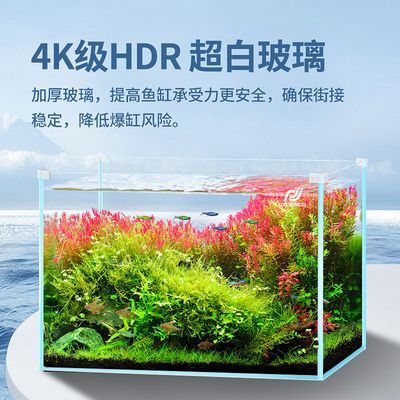 60超白玻璃魚缸會爆缸嗎：超白玻璃魚缸的優點和缺點