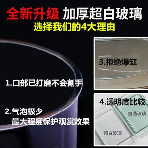 60超白玻璃魚缸會爆缸嗎：超白玻璃魚缸的優點和缺點