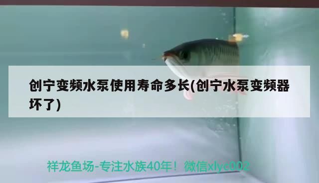 創寧變頻水泵使用壽命多長(創寧水泵變頻器壞了) 創寧變頻水泵使用壽命多長(創寧水泵變頻器壞了) 創寧水族