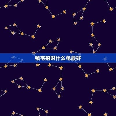 豬鼻龜招財(cái)辟邪嗎視頻講解：家里養(yǎng)什么烏龜招財(cái)？ 豬鼻龜招財(cái)辟邪嗎視頻講解：家里養(yǎng)什么烏龜招財(cái)？ 豬鼻龜百科 第4張
