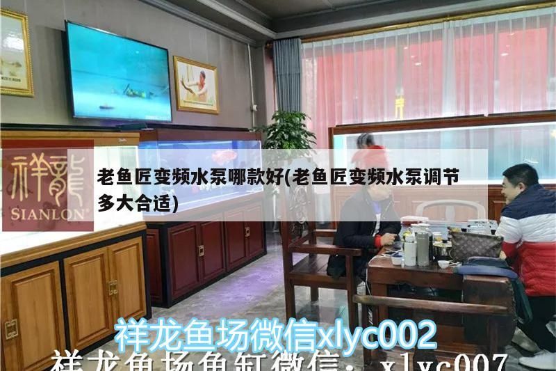 老魚匠變頻水泵哪款好(老魚匠變頻水泵調節多大合適)