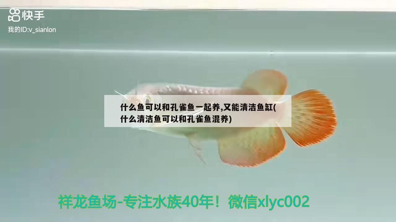 求教傲深和仟湖傲深的區別