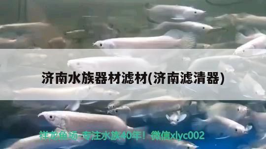 最美的魚缸圖片大全大圖（ 最美的魚缸圖片大全大圖真實）
