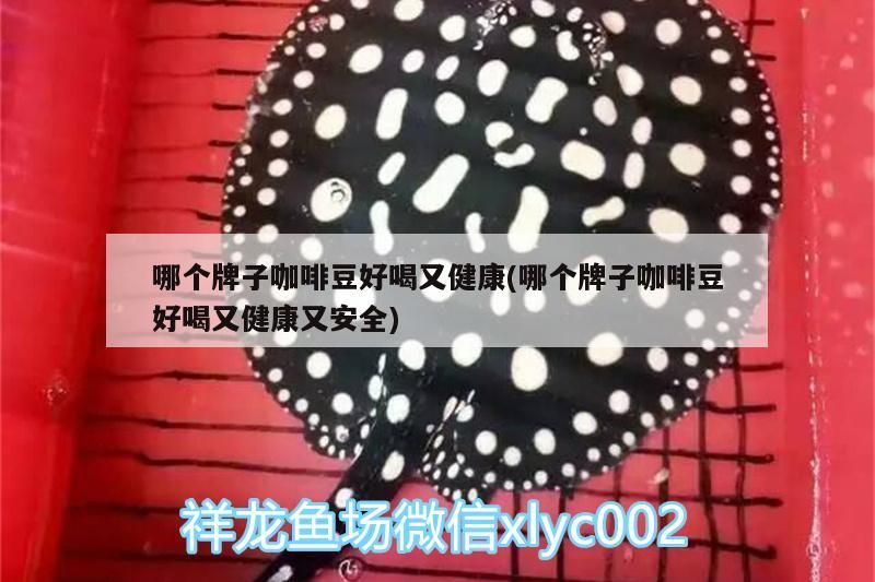 哪個牌子咖啡豆好喝又健康(哪個牌子咖啡豆好喝又健康又安全) 哪個牌子咖啡豆好喝又健康(哪個牌子咖啡豆好喝又健康又安全) 馬來西亞咖啡 第2張