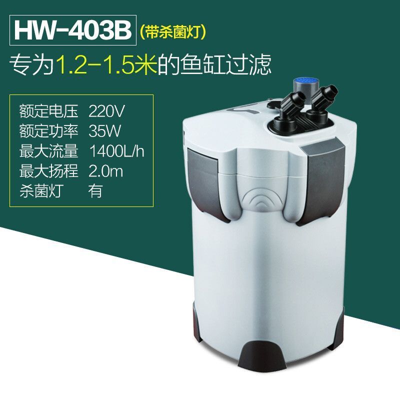 魚在佛教中的象征意義,從生命到解脫的深邃寓意 森森過濾桶靜音嗎 森森魚缸 森森過濾桶靜音嗎 森森過濾桶靜音嗎 森森魚缸