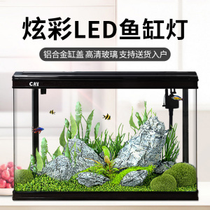 魚缸有病魚怎么處理干凈呢（魚缸有病魚怎么處理干凈呢視頻）