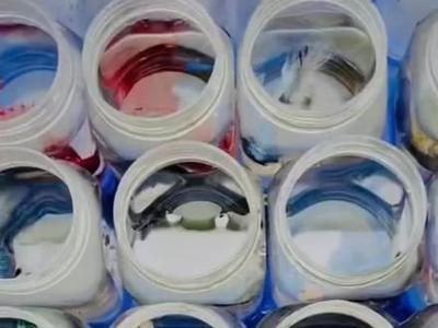 觀賞魚購(gòu)買小程序（2020廣州世界觀賞魚珍品大觀活動(dòng)可在線購(gòu)買觀賞魚）