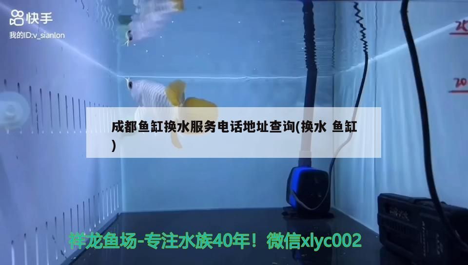 成都魚缸換水服務電話地址查詢(換水魚缸) 成都魚缸換水服務電話地址查詢(換水魚缸) 錦鯉魚百科