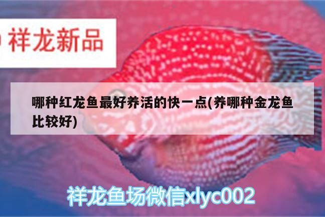 微山縣璀璨水族網店