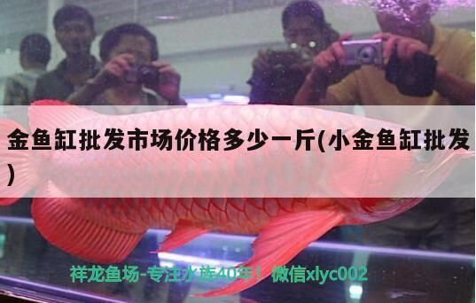 金魚缸批發市場價格多少一斤(小金魚缸批發)
