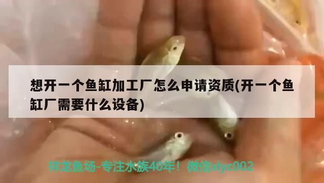 想開一個魚缸加工廠怎么申請資質(開一個魚缸廠需要什么設備)